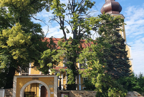 Linden am Kirchhofstor