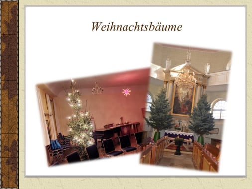 Weihnachtsbäume